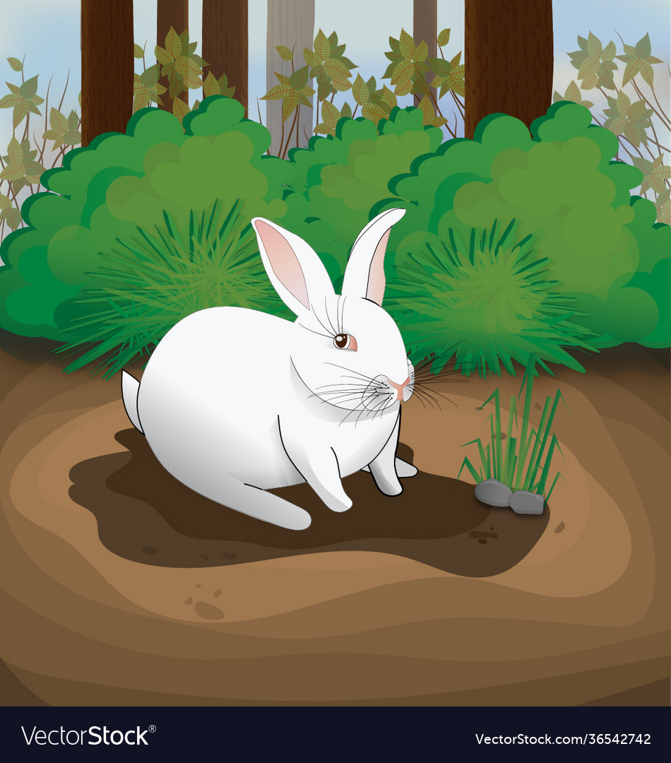 Rabbit sitting in forest and garden Royalty Free Vector