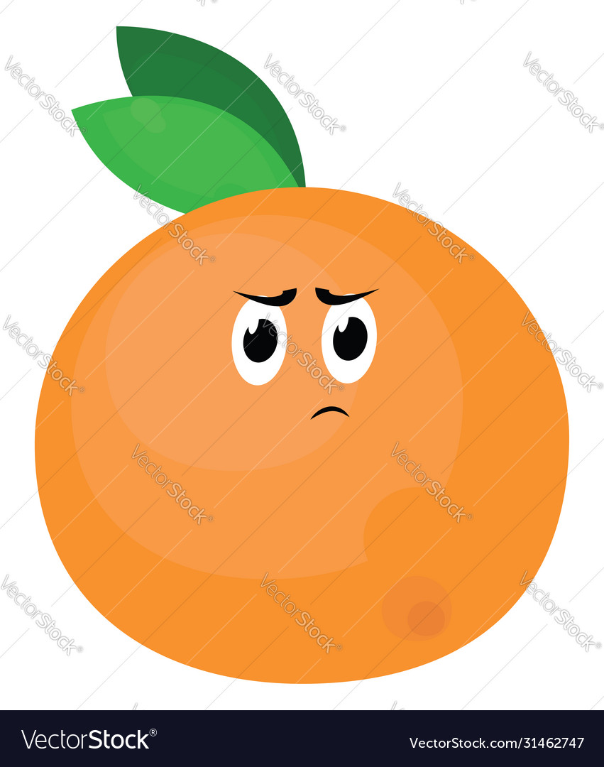 Angry orange on white background Royalty Free Vector Image