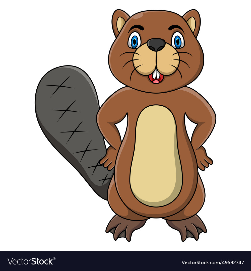 Beaver cartoon posing on white background Vector Image