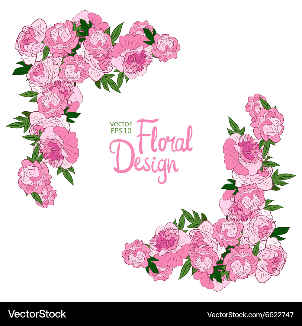 Corner with peonies Royalty Free Vector Image - VectorStock