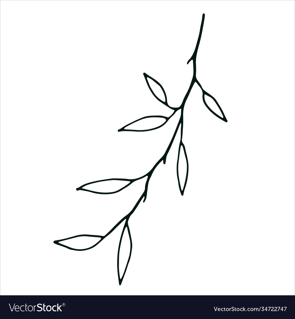 Single doodle leaf isolated on white Royalty Free Vector