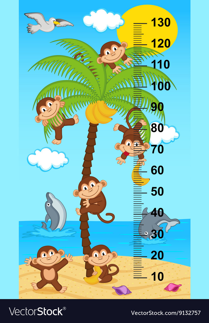 Palm tree height measure with monkeys