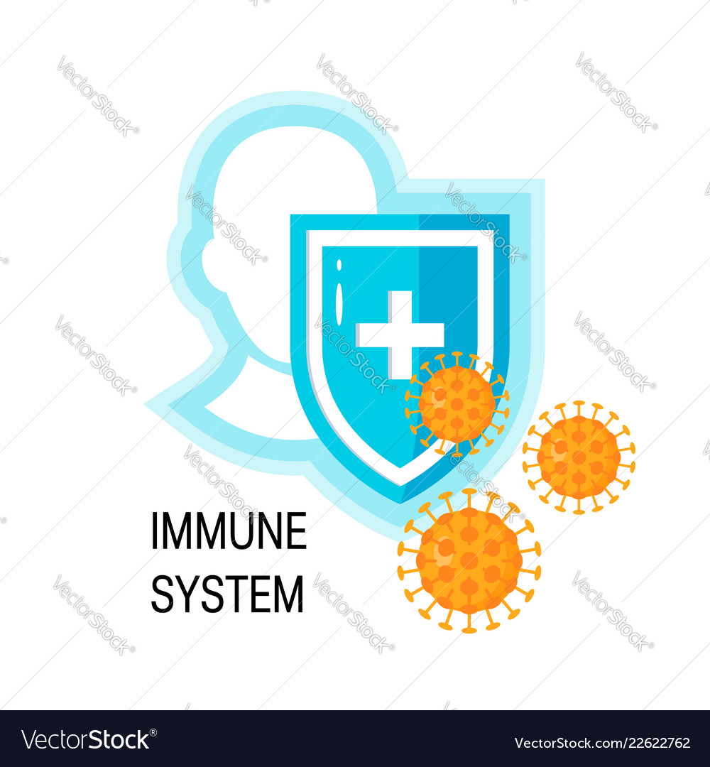 Immune system concept Royalty Free Vector Image