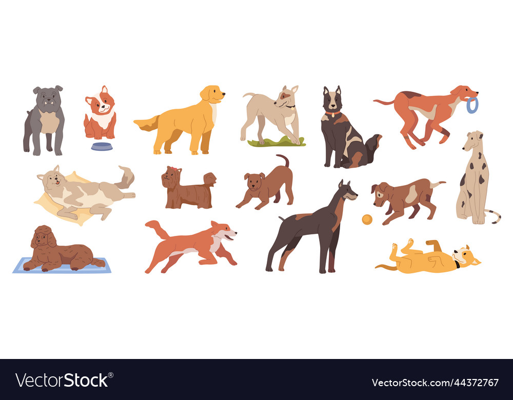 Dog life canine animals breeds Royalty Free Vector Image