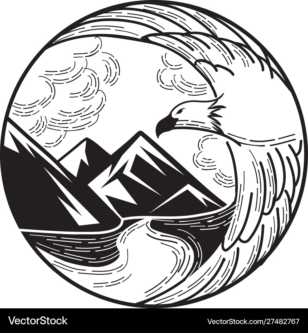 Flying eagle Royalty Free Vector Image - VectorStock