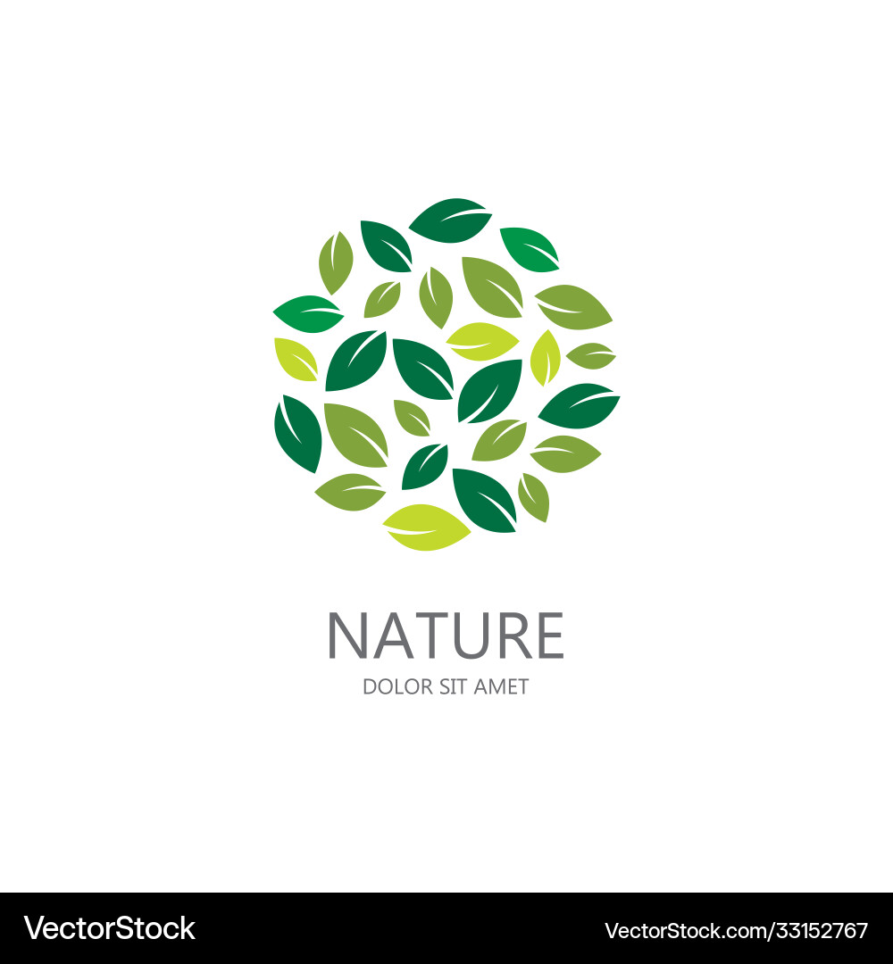 Green leaf logo Royalty Free Vector Image - VectorStock