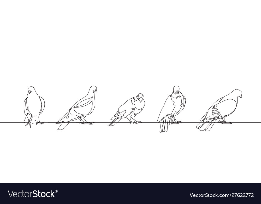 Pigeon one continuous line set vector image Pigeon one continuous line set