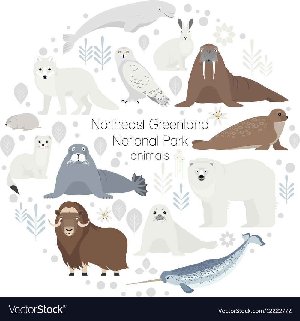 Polar animals circle animal set Polar Royalty Free Vector