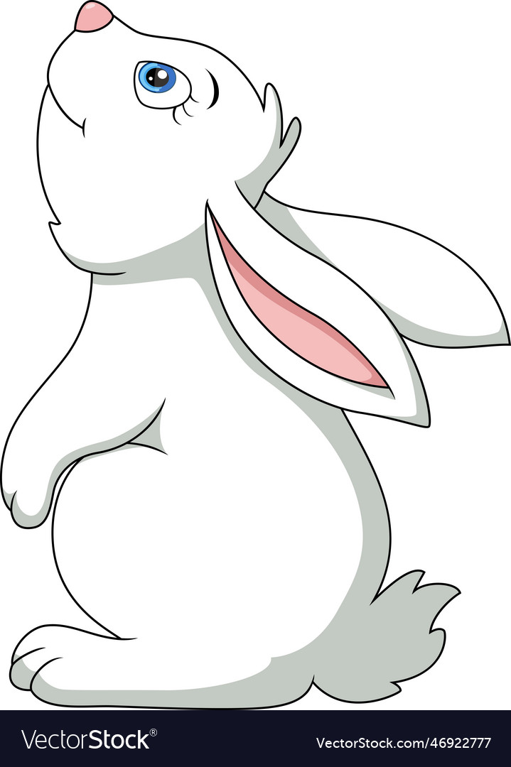 Cute white bunny cartoon on white background Vector Image