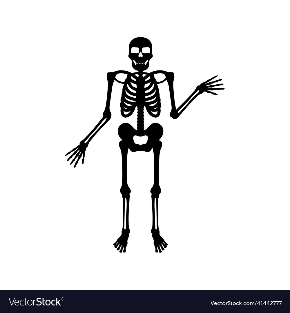 Skeleton icon design template isolated Royalty Free Vector