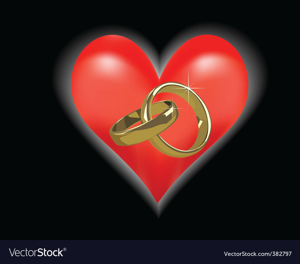 Gold wedding rings Royalty Free Vector Image - VectorStock