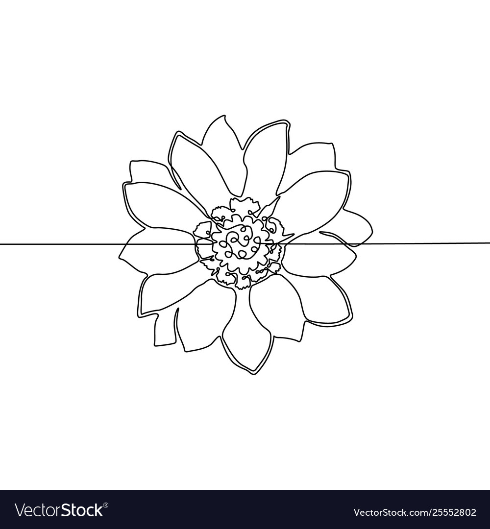 Flower Line Art SVG