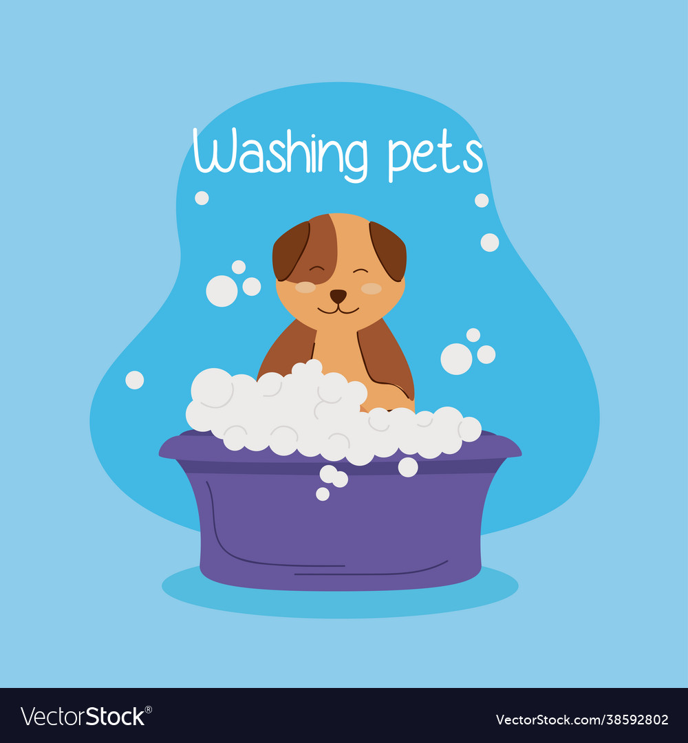 Cute dog bathing Royalty Free Vector Image - VectorStock