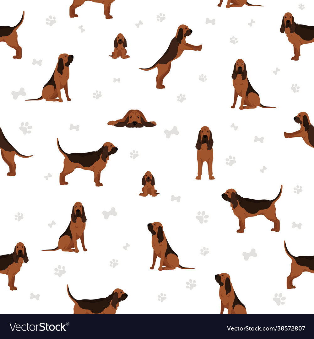 Bloodhound seamless pattern different coat colors