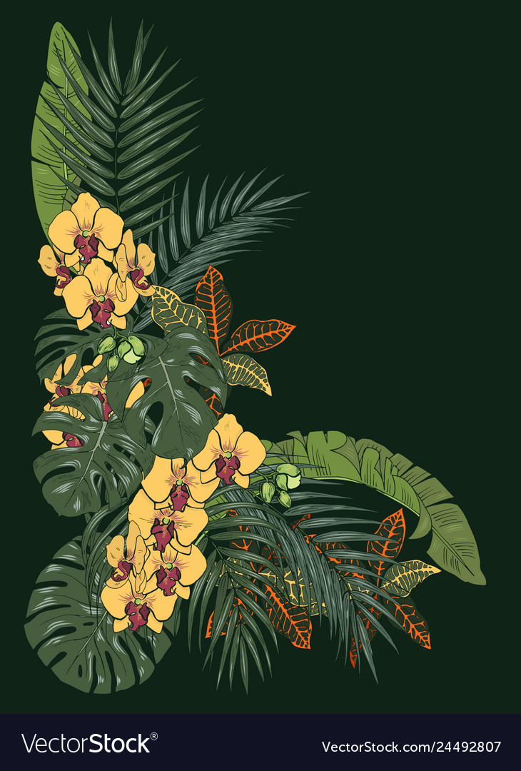 Tropical plants and flowers