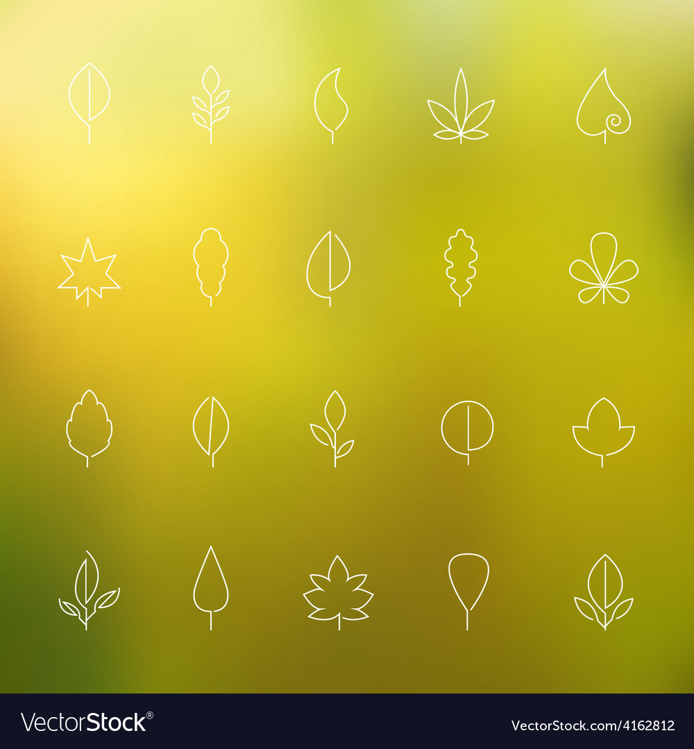 Thin contour icons leaves Royalty Free Vector Image