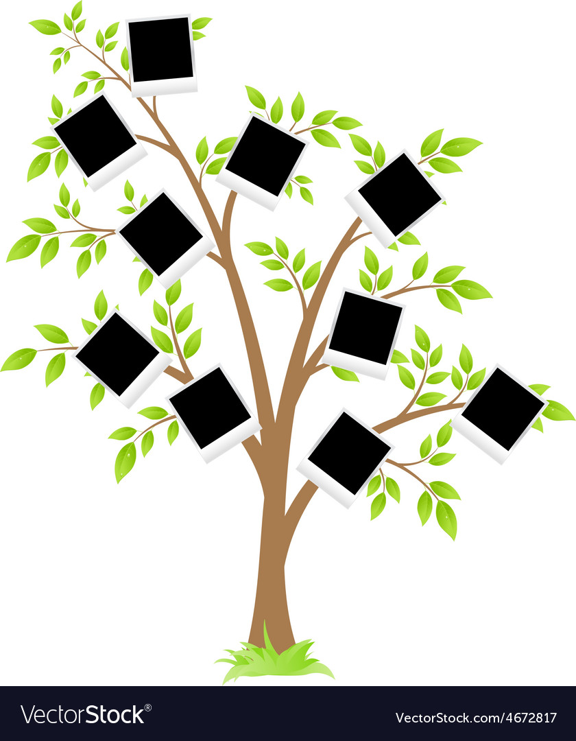 Famity tree Royalty Free Vector Image - VectorStock