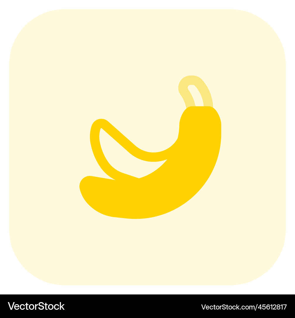 Pair of bananas post workout snack Royalty Free Vector Image