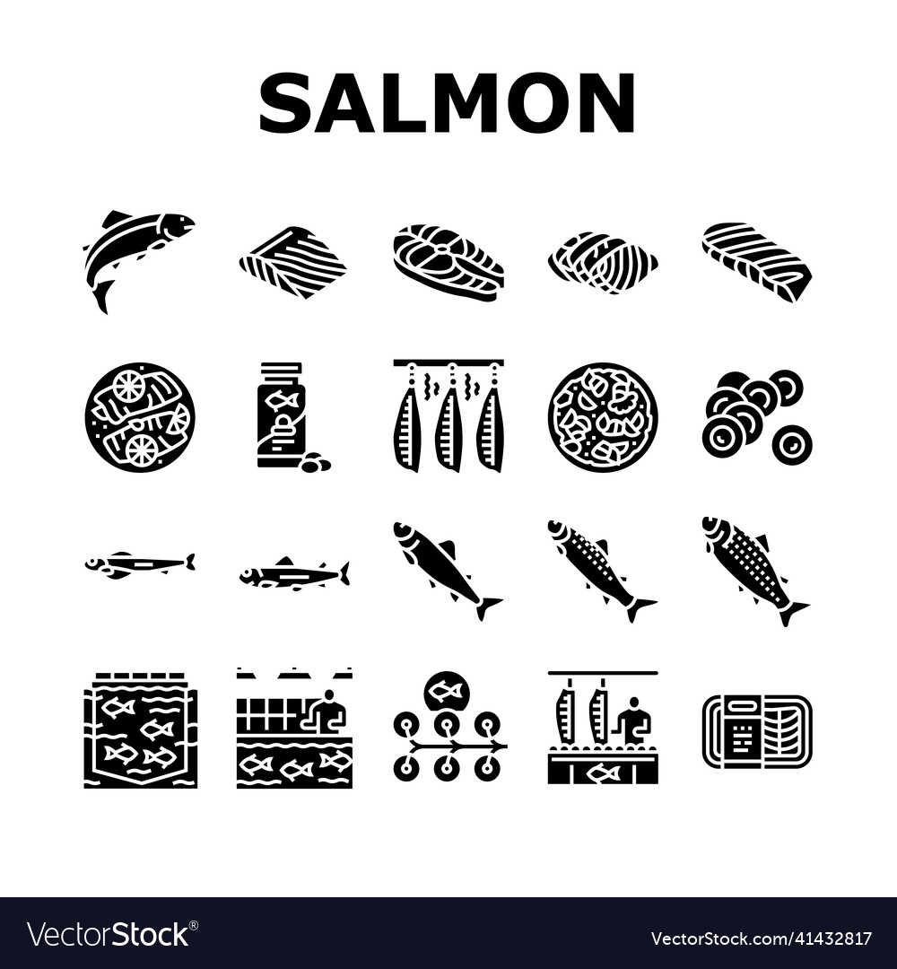 Salmon fish delicious seafood icons set