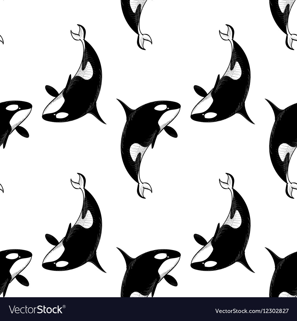 Grampus seamless pattern Royalty Free Vector Image