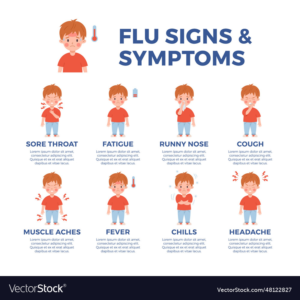 Infographic about flu signs and symptoms flat Vector Image