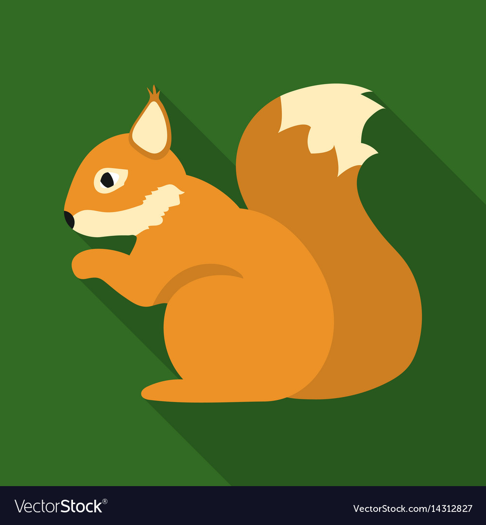 Squirrel icon in flat style for web Royalty Free Vector