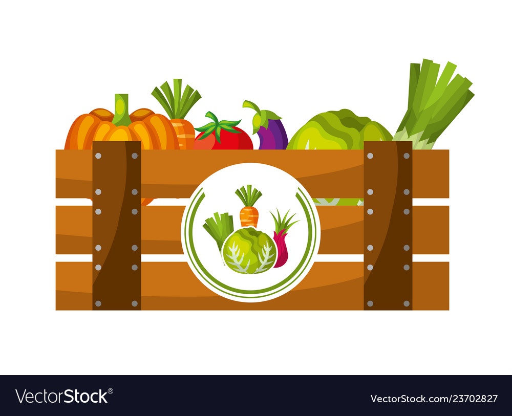 Wooden basket filled fresh vegetables