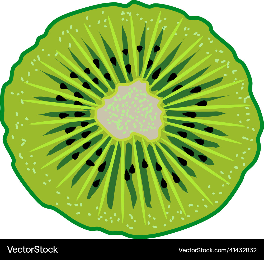 Kiwi isolated on transparent Royalty Free Vector Image