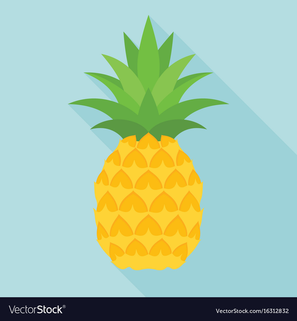 Pineapple icon with long shadow Royalty Free Vector Image