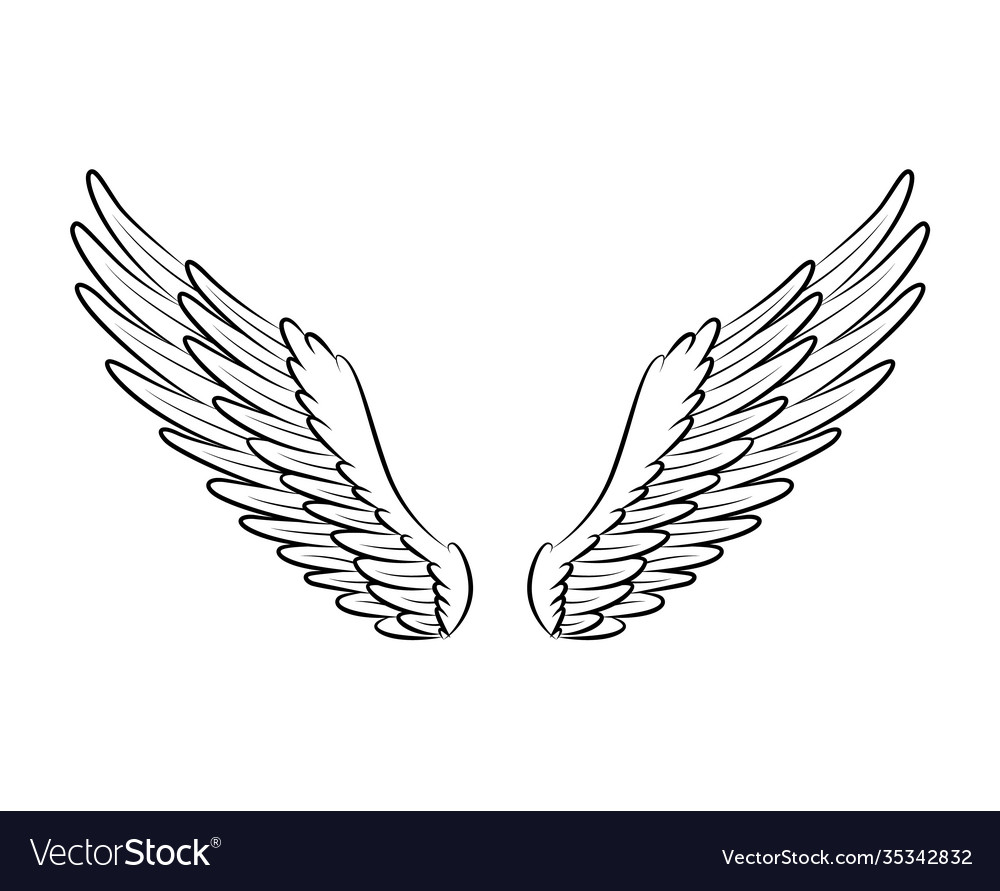 Vintage heraldic wings sketch monochrome stylized Vector Image