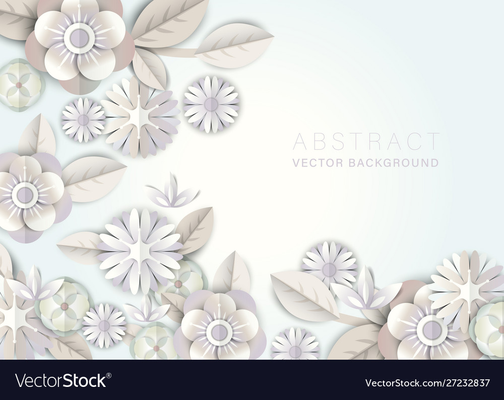 Abstract white floral background white flower Vector Image