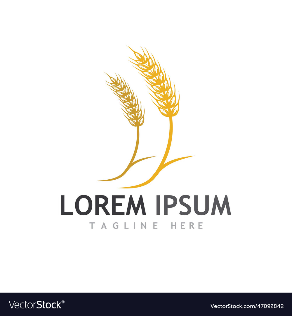 Agriculture wheat Royalty Free Vector Image - VectorStock