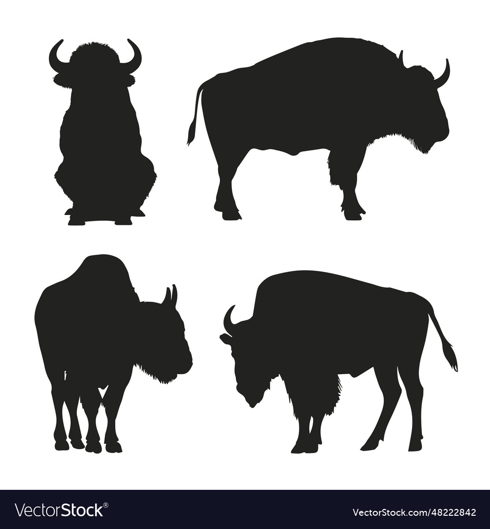 Hand drawn bison silhouette isolated on white Vector Image