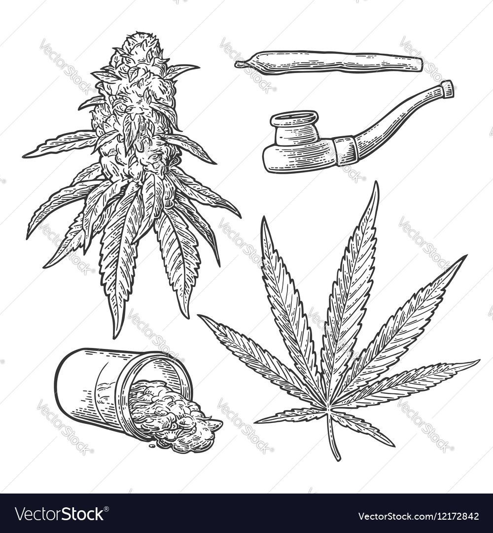 Marijuana buds leaves bottle cigarettes and Vector Image