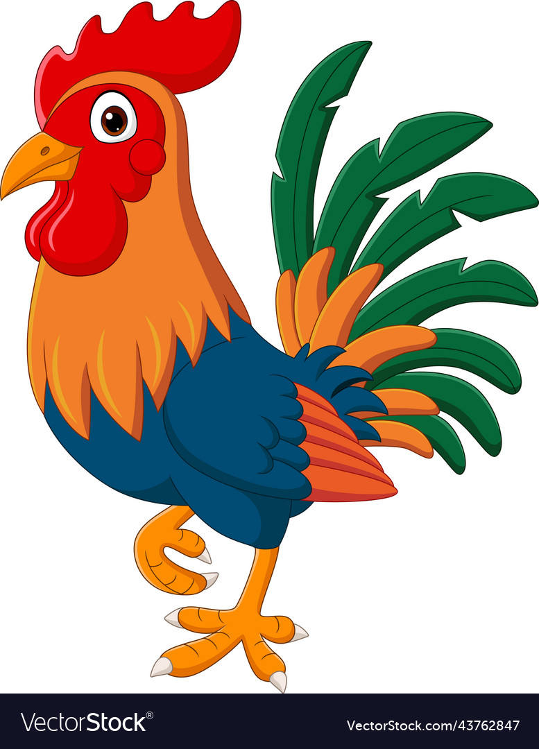 Cartoon funny rooster on white background Vector Image