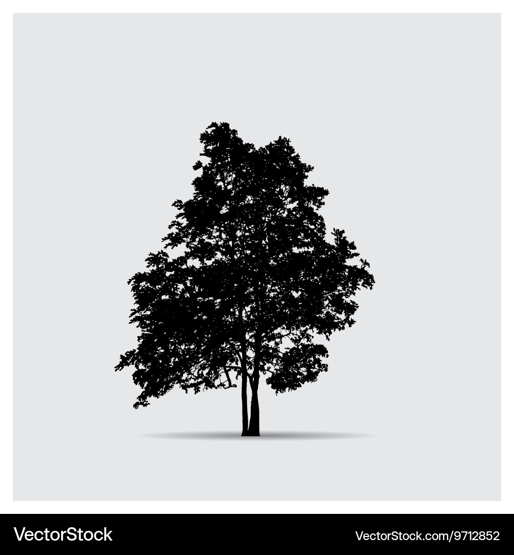 Tree silhouettes Royalty Free Vector Image - VectorStock