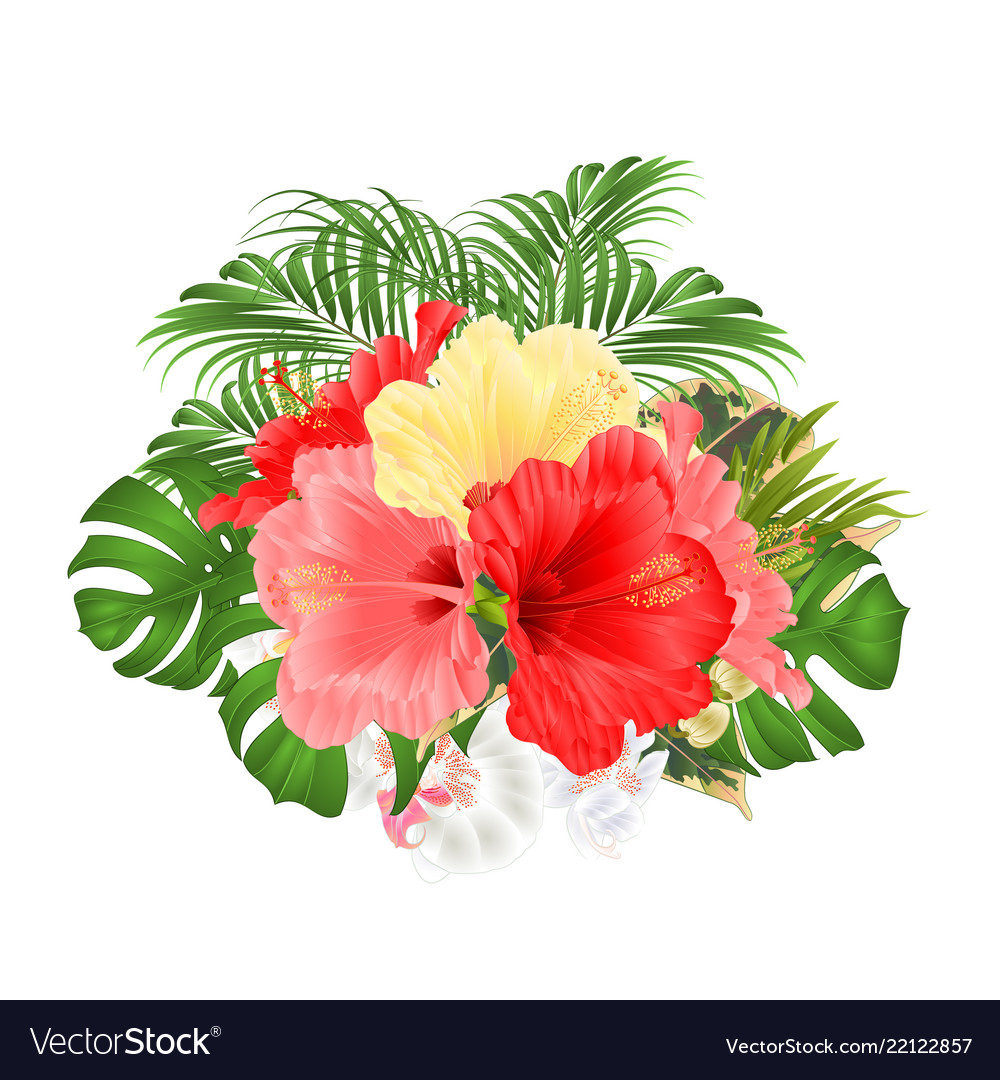 Download Bouquet with tropical flowers floral arrangement Vector Image