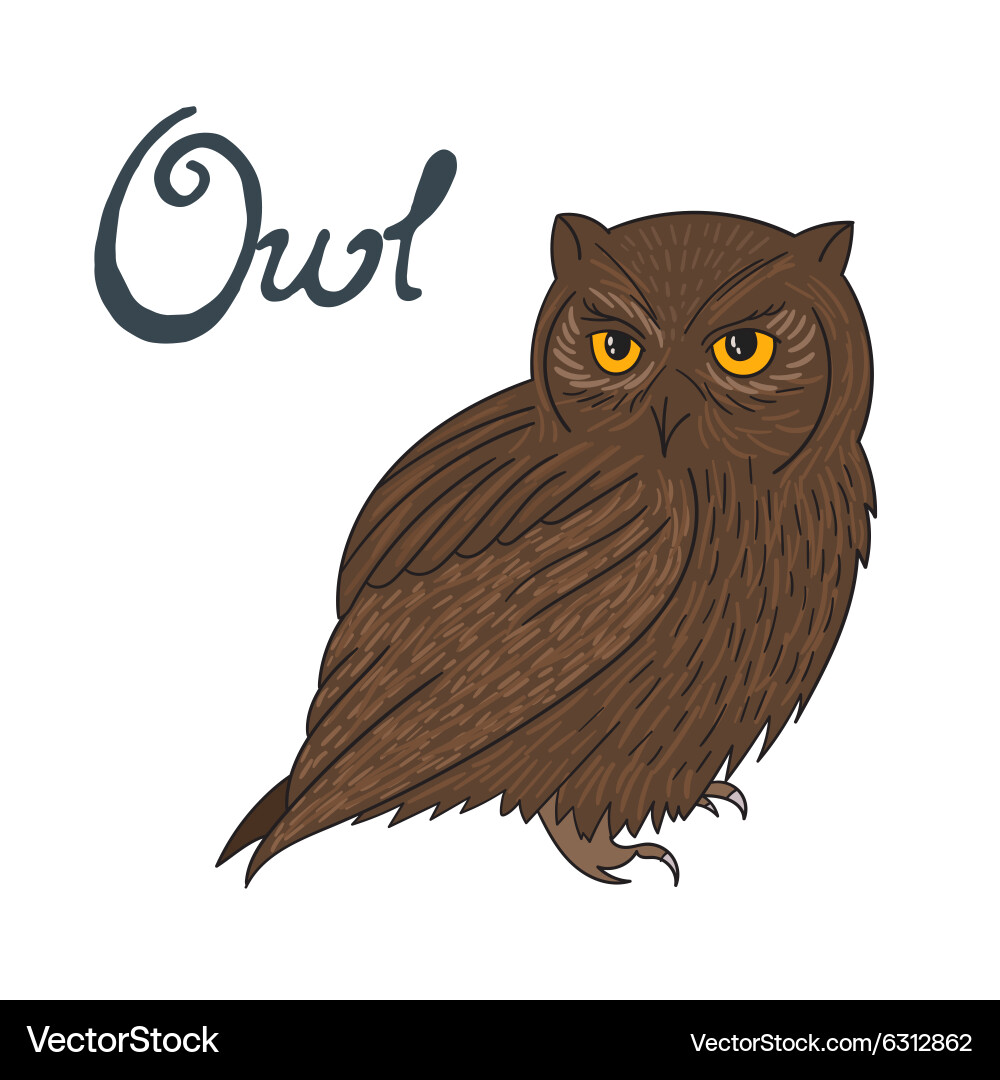 Bird owl Royalty Free Vector Image - VectorStock