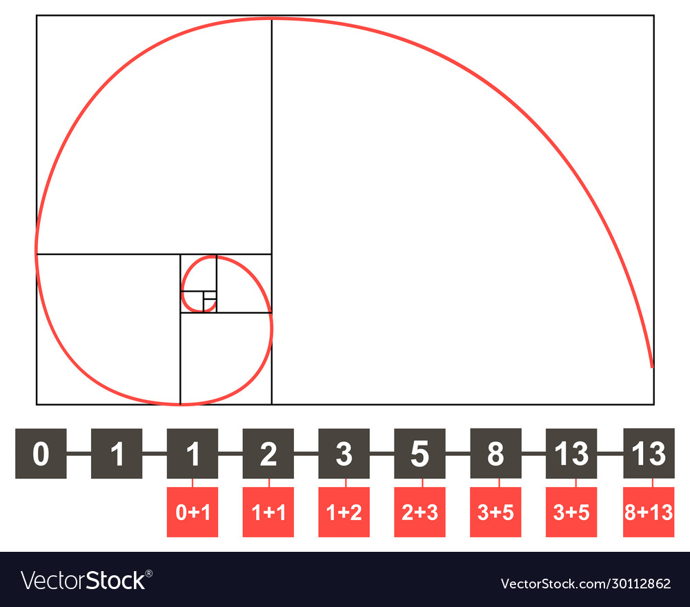 Golden section composition harmony example Vector Image