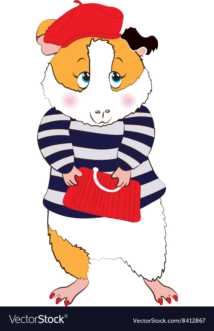 Guinea pig in the parisienne Royalty Free Vector Image