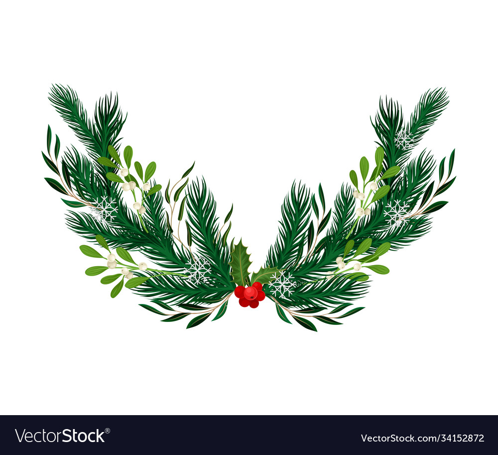 Evergreen branches coniferous tree Royalty Free Vector Image