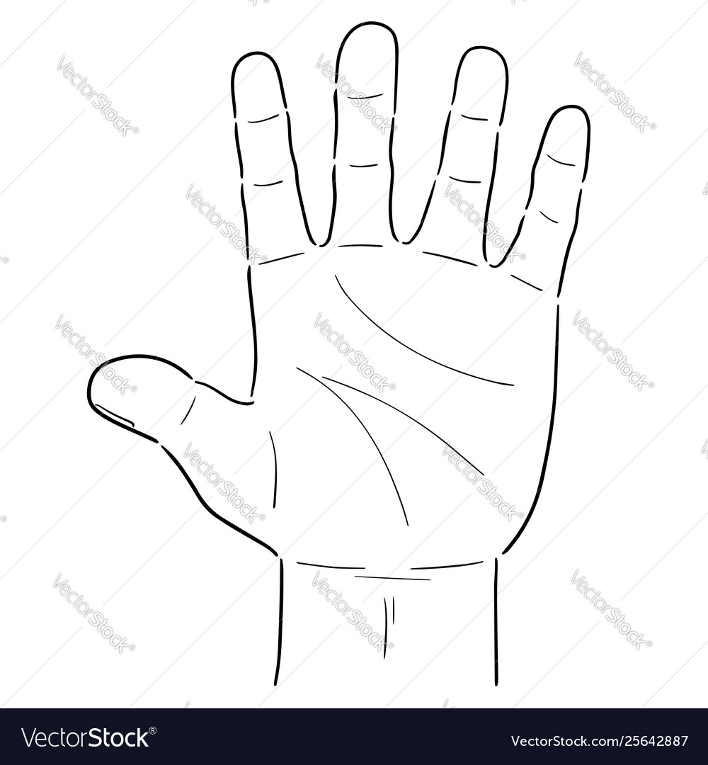 Cartoon Hand Royalty Free Vector Image - Vectorstock