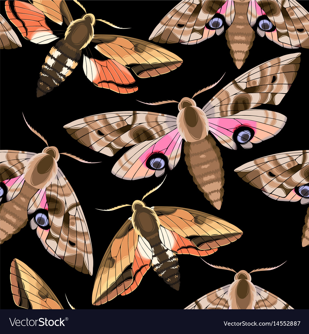 Flying Moths Seamless Royalty Free Vector Image 7879