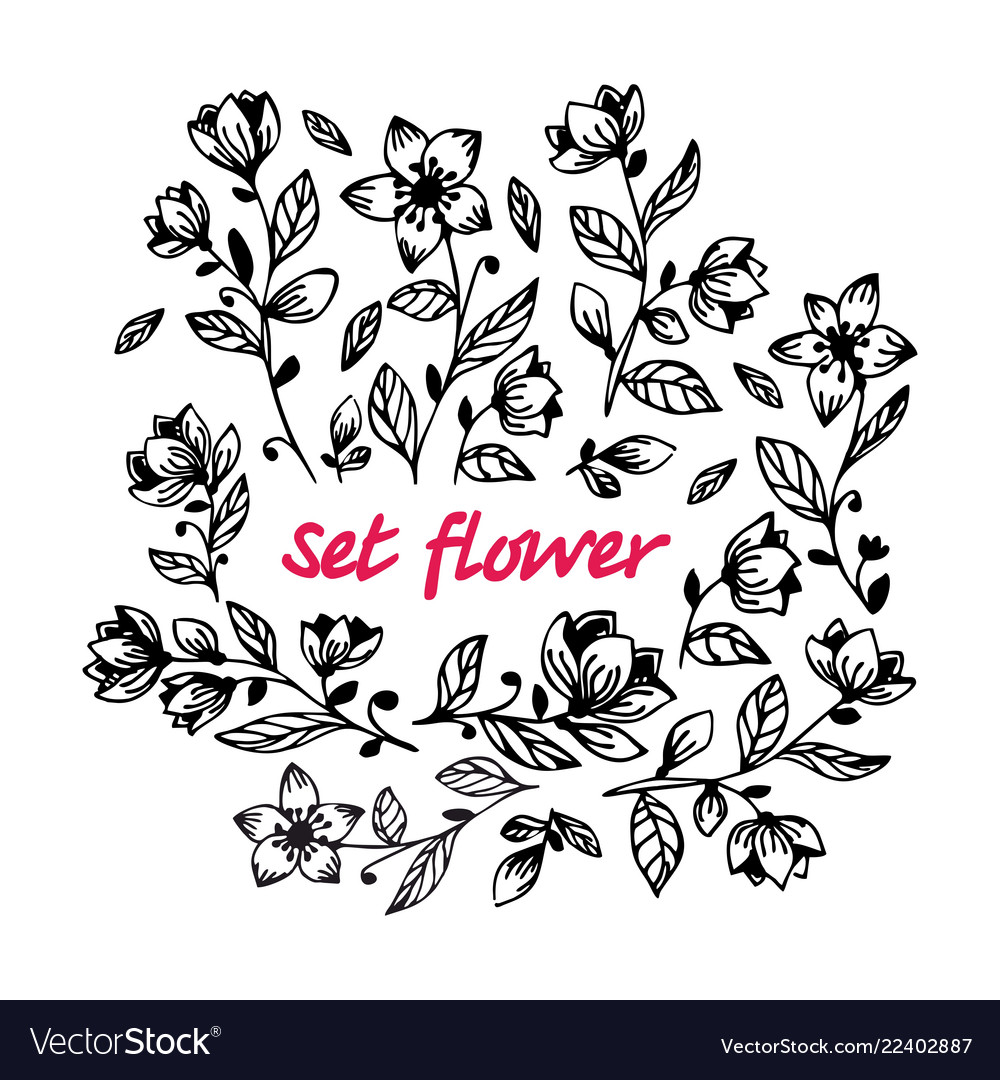 Hand draw black flower set Royalty Free Vector Image