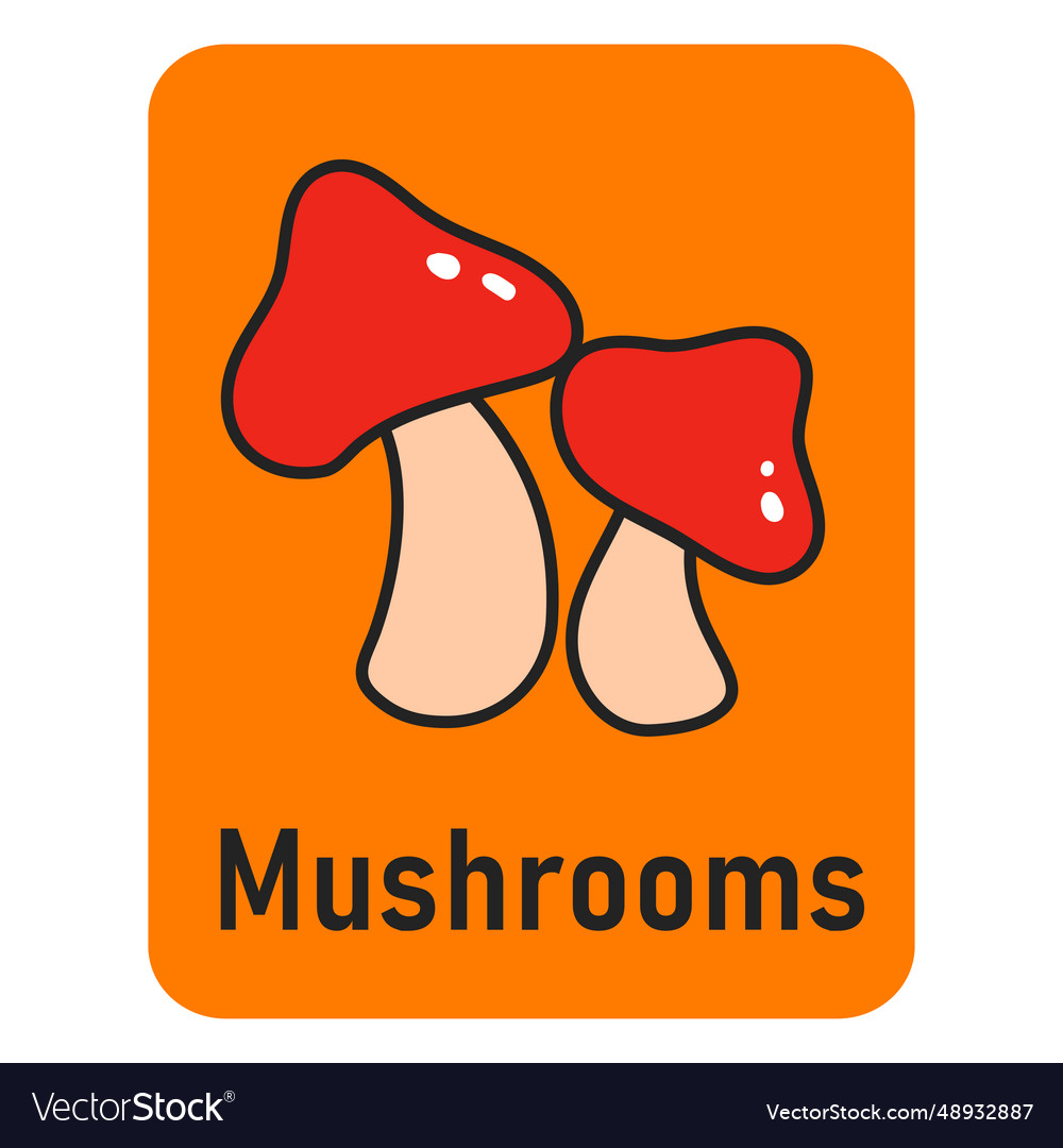 Mushroom orange flashcard Royalty Free Vector Image