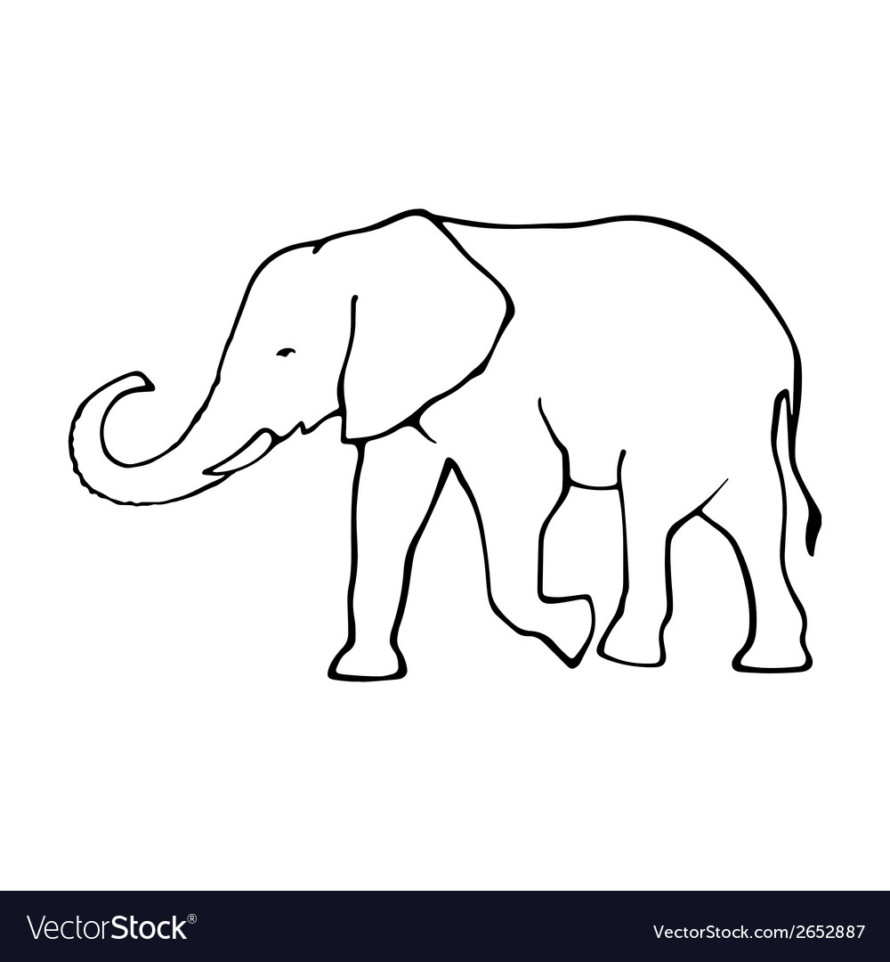 asian elephant outline