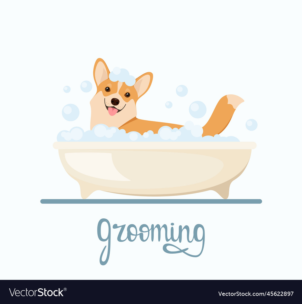 Grooming Royalty Free Vector Image - VectorStock