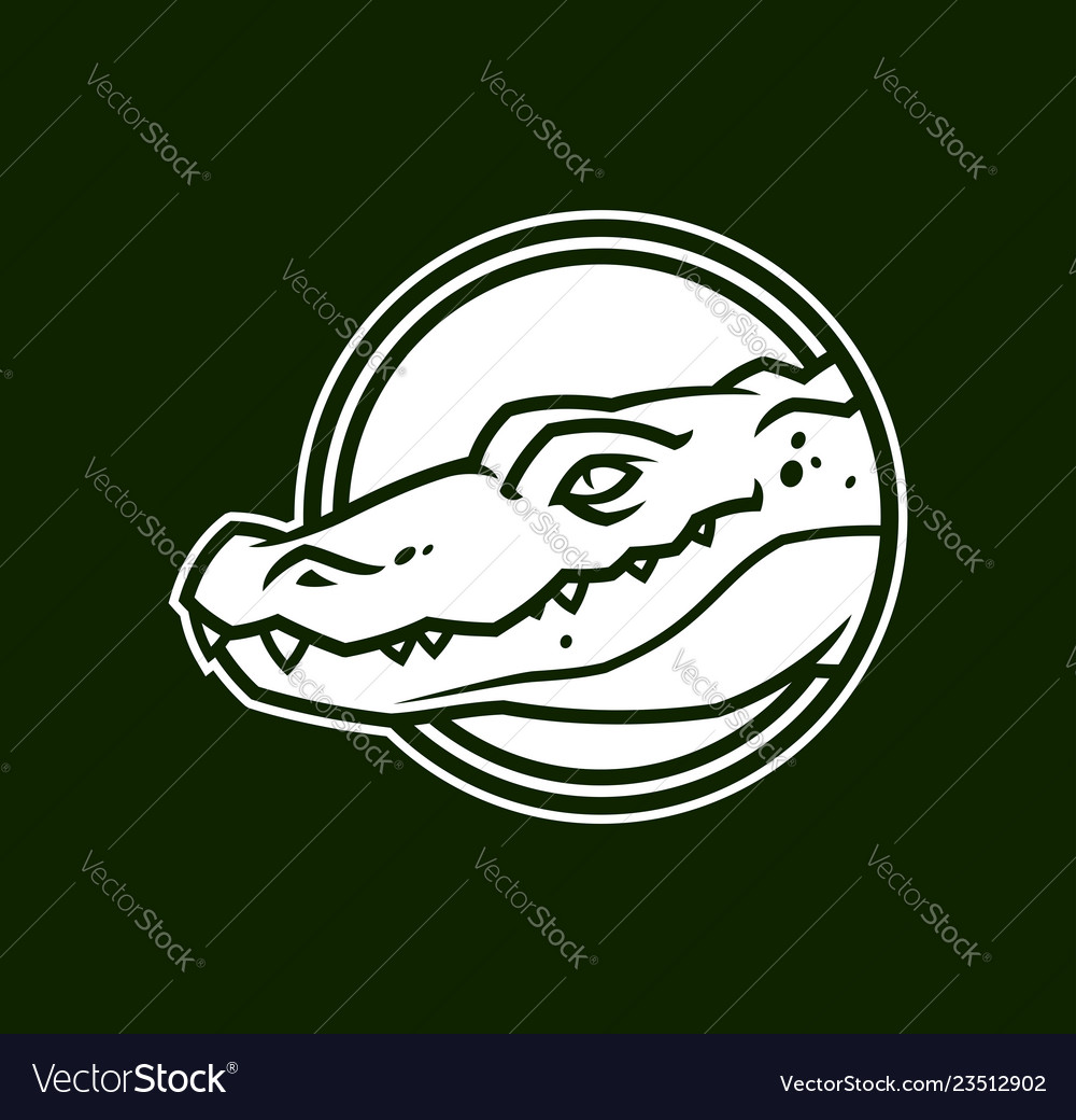 Cartoon Alligator Head Outline - Cartoon Collection