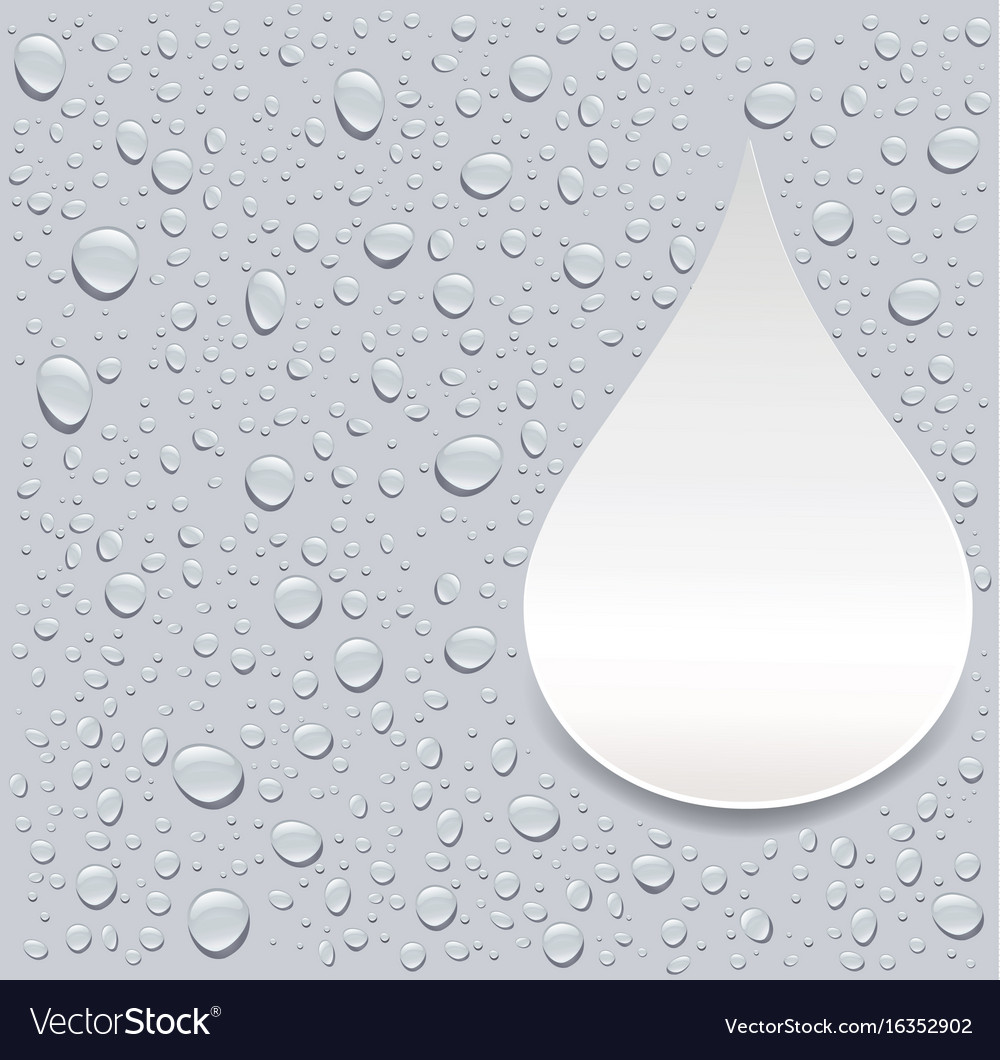 Gray Water Droplets Background With Place For Text