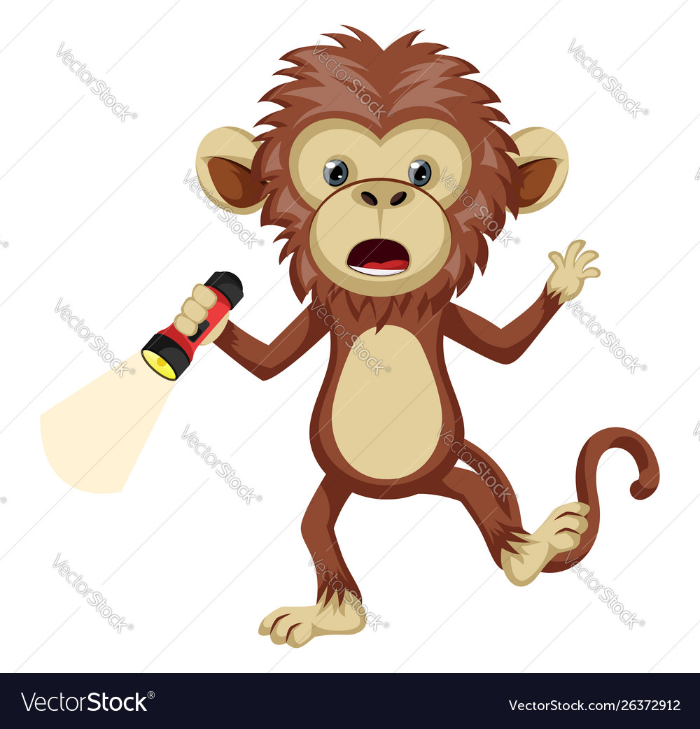Monkey with flashlight on white background Vector Image